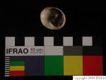 L_V21d3583 J1q2084.2 S806 dM f232